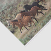 Wilde Pferde Seidenpapier (Ausschnitt)