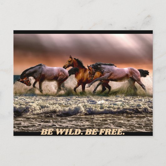 Wilde Pferde - seien Sie wild. seien Sie frei. Postkarte (Vorderseite)
