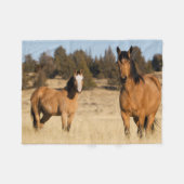 Wilde Pferde, Steengebirge Fleecedecke (Vorderseite (Horizontal))