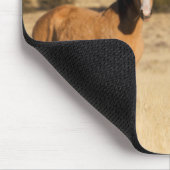 Wilde Pferde, Steengebirge Mousepad (Ecke)