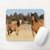 Wilde Pferde, Steengebirge Mousepad (Mit Mouse)