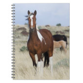 Wilde Pferde, Steengebirge Notizblock (Vorderseite)