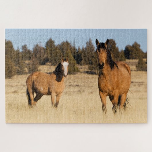 Wilde Pferde, Steengebirge Puzzle (Horizontal)
