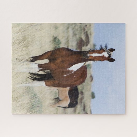 Wilde Pferde, Steengebirge Puzzle (Horizontal)