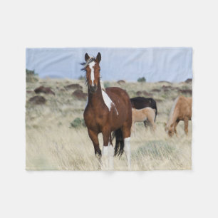 Wilde Pferde, Steens Mountains Fleecedecke