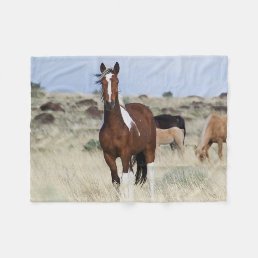Wilde Pferde, Steens Mountains Fleecedecke (Vorderseite (Horizontal))