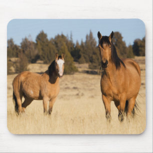 Wilde Pferde, Steens Mountains Mousepad