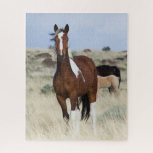 Wilde Pferde, Steens Mountains Puzzle