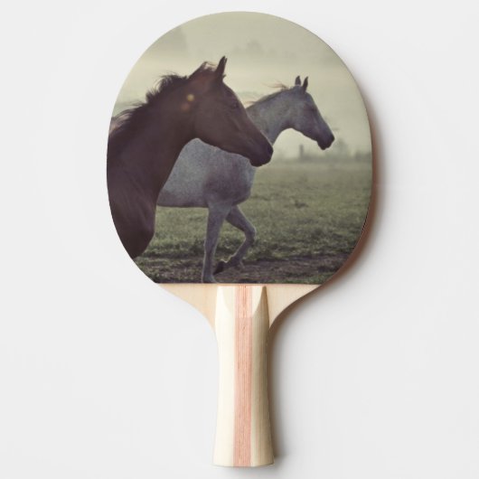 Wilde Pferde Tischtennis Schläger (Vorderseite)