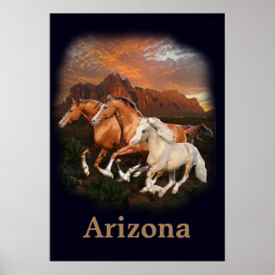 Wilde Pferde von Arizona Poster