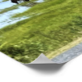 Wilde Pferde von Assateague Poster (Ecke)