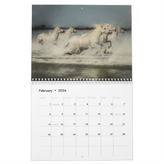 Wilde Pferde von Frankreich - 2019 Wandkalender (Feb 2026)