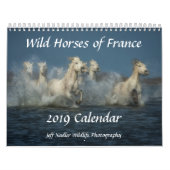 Wilde Pferde von Frankreich - 2019 Wandkalender (Titelbild)