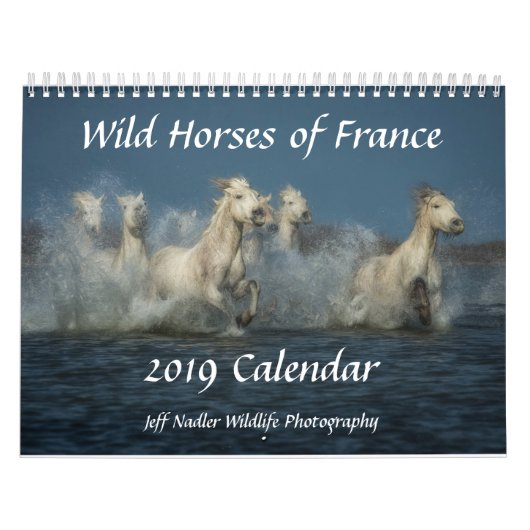 Wilde Pferde von Frankreich - 2019 Wandkalender (Titelbild)