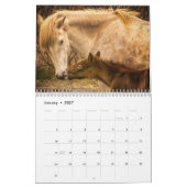 Wilde Pferde von Frankreich - 2019 Wandkalender (Jan 2027)