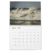 Wilde Pferde von Frankreich - 2019 Wandkalender (Feb 2027)