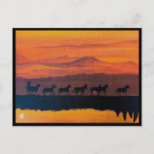 Wilde Pferde von Montana Malerei von Alfred Fox Postkarte (Vorderseite)