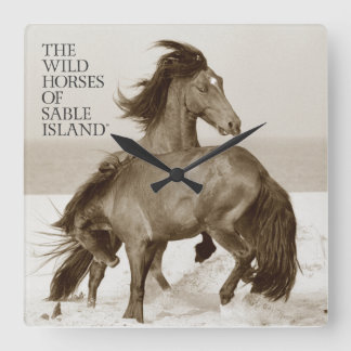 Wilde Pferde von Sable Island Clock Quadratische Wanduhr