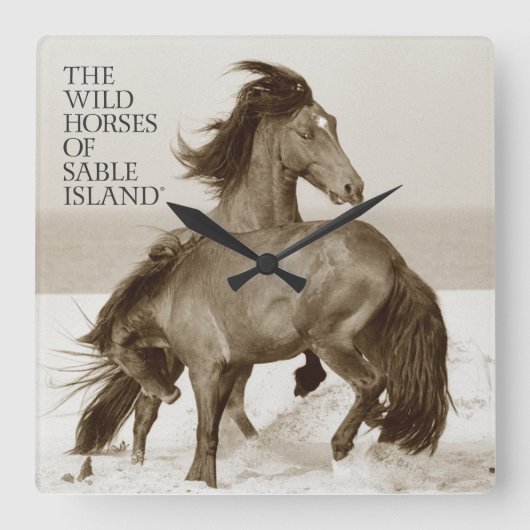 Wilde Pferde von Sable Island Clock Quadratische Wanduhr (Vorderseite)