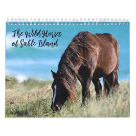 Wilde Pferde von Sable Island Kalender