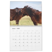 Wilde Pferde von Sable Island Kalender (Mär 2027)