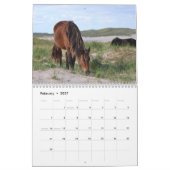 Wilde Pferde von Sable Island Kalender (Feb 2027)