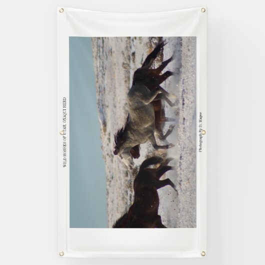 WILDE PFERDE VON UTAH, ONAQUI HERDE Fahne mit Banner (Vertikal)