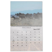 Wilde Pferde von Wyoming Kalender (Mär 2027)