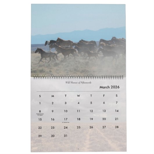 Wilde Pferde von Wyoming Kalender (Mär 2026)