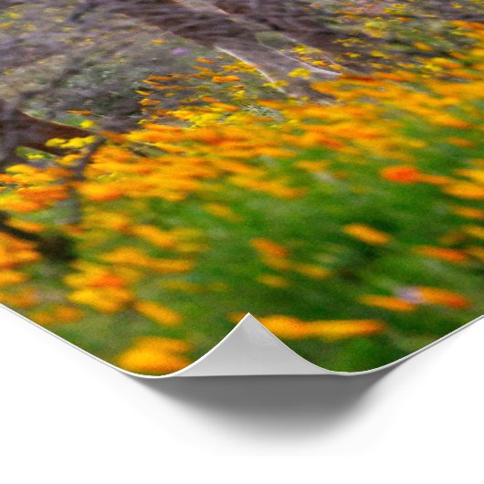 Wilde Pferde | Wall Art Poster Print (Ecke)