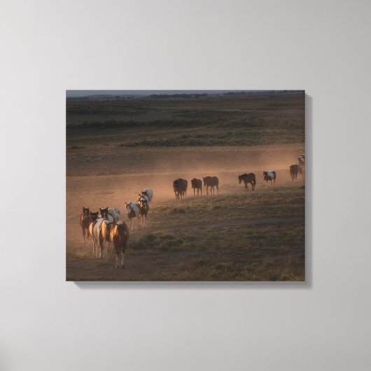 Wilde Pferde wandern in die Wüste Leinwanddruck (Vorderseite)