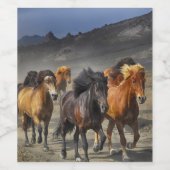 Wilde Pferde Weinetikett (Einzelnes Label)