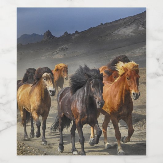 Wilde Pferde Weinetikett (Einzelnes Label)