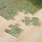 Wilde Pferde, wild lebende Tiere, Puzzle (Seite)