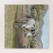 Wilde Pferde, wild lebende Tiere, Puzzle (Horizontal)