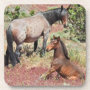 Wilde Pferde, wild lebende Tiere, Untersetzer, Set Getränkeuntersetzer