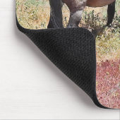 Wilde Pferde, Wildtiere, Mauspad (Ecke)