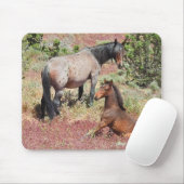Wilde Pferde, Wildtiere, Mauspad (Mit Mouse)