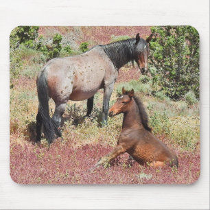 Wilde Pferde, Wildtiere, Mauspad