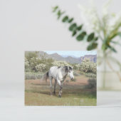 Wilde Pferde, Wildtiere, Postkarten (Stehend Vorderseite)