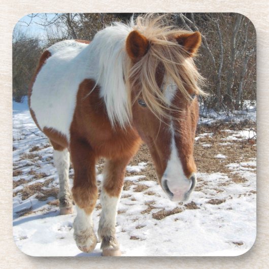 Wilde Pferde, Wildtiere, Untersetzer, Set von 6 Getränkeuntersetzer (Vorderseite)