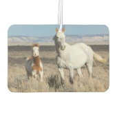 Wilde Pferde zu Hause im Sandwash Basin Autolufterfrischer (Rückseite)