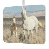 Wilde Pferde zu Hause im Sandwash Basin Autolufterfrischer (Links)