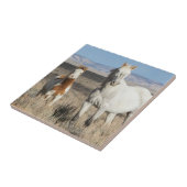 Wilde Pferde zu Hause im Sandwash Basin Fliese (Seite)