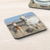 Wilde Pferde zu Hause im Sandwash Basin Getränkeuntersetzer (Linke Seite)