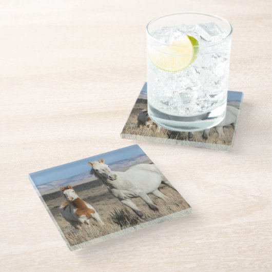 Wilde Pferde zu Hause im Sandwash Basin Glasuntersetzer (Schrägansicht)