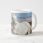 Wilde Pferde zu Hause im Sandwash Basin Jumbo-Tasse (Vorderseite Rechts)