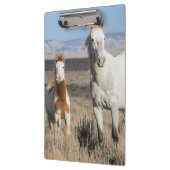 Wilde Pferde zu Hause im Sandwash Basin Klemmbrett (Links)