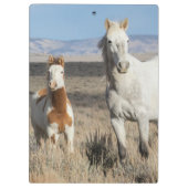 Wilde Pferde zu Hause im Sandwash Basin Klemmbrett (Rückseite)