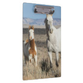 Wilde Pferde zu Hause im Sandwash Basin Klemmbrett (Rechts)